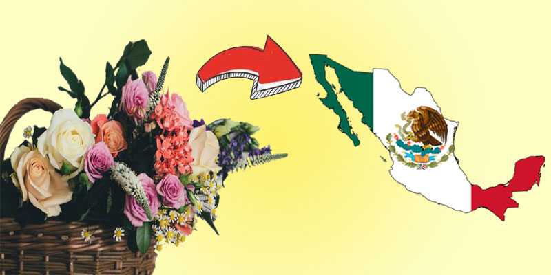 Send Flowers to Mexico-FI