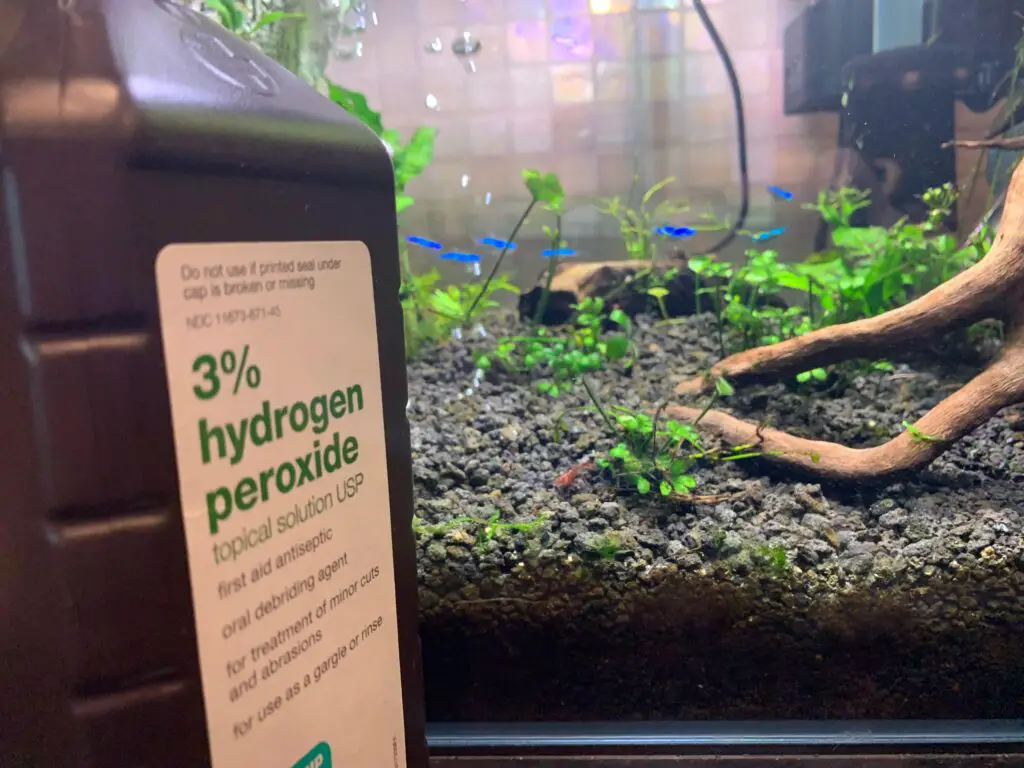 How Often to Use Hydrogen Peroxide in the Aquarium