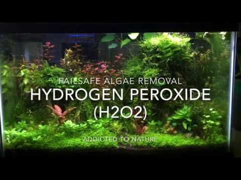 How to Add Hydrogen Peroxide to Aquarium