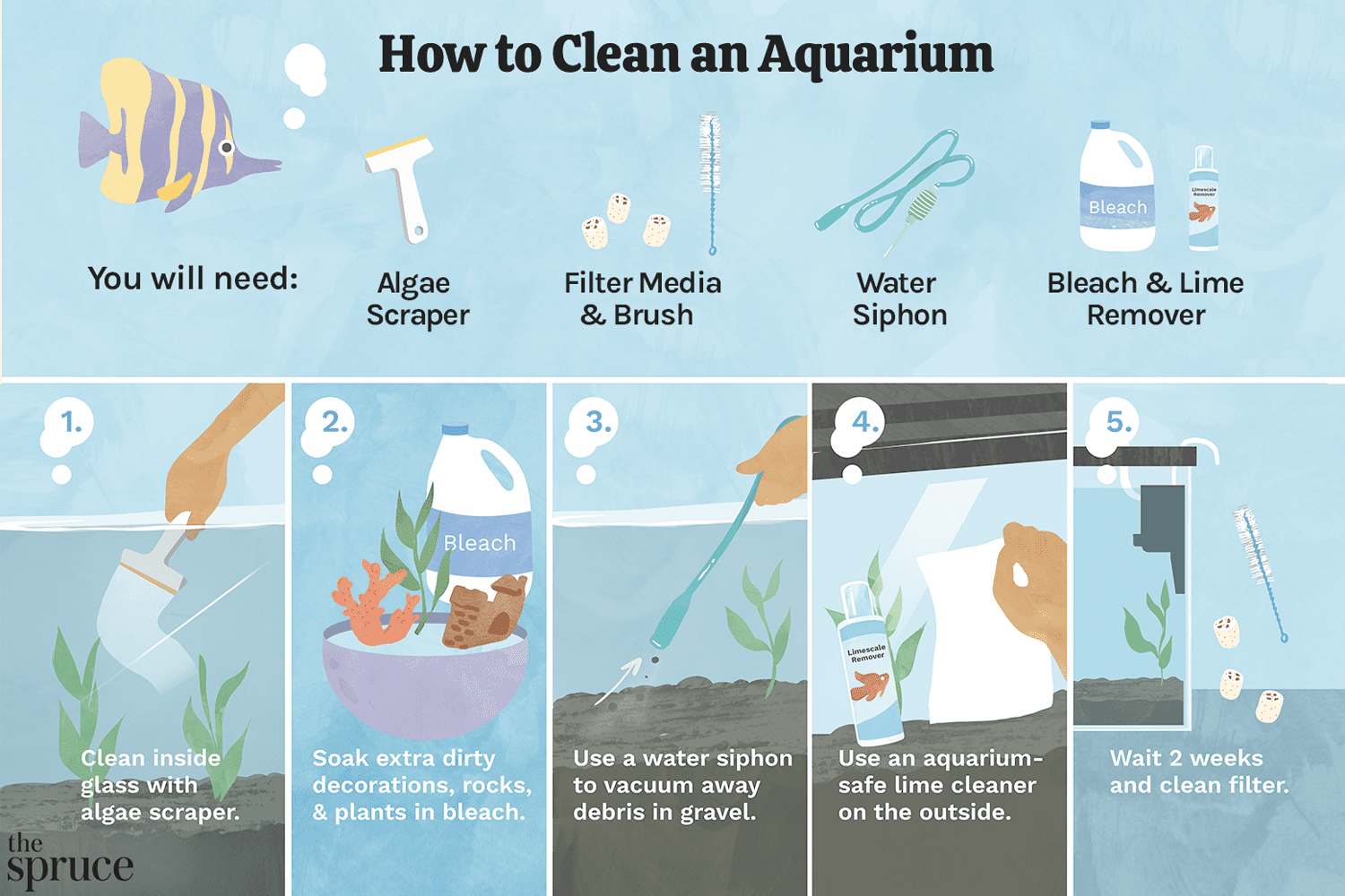 Curated visual reference: Regular Line Perfect Maintenance Biochemical Aquarium Management Reference: How To Clean An Aquarium The Right Way Expert Tips
