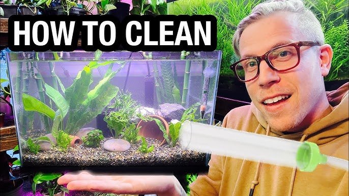 How to Clean And Sterilize Aquarium Gravel