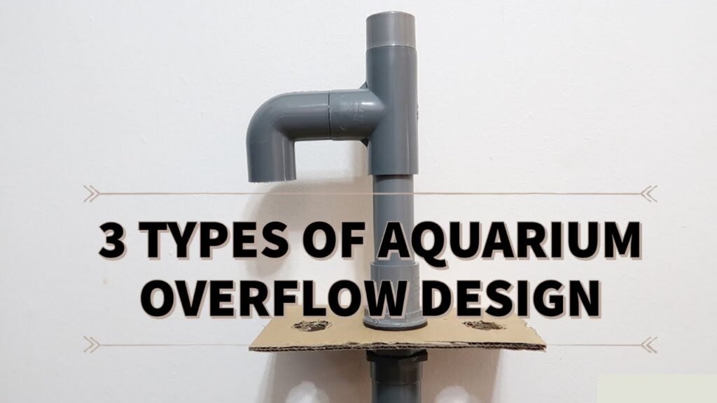 How to Design an Aquarium Overflow