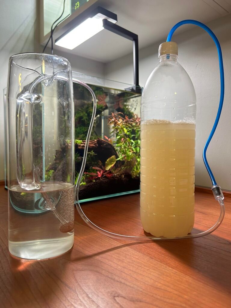 How to Diy Co2 for Aquarium