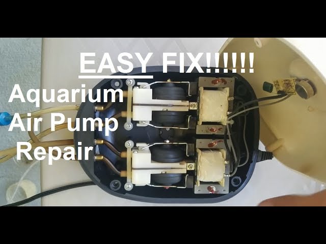 How to Fix a Aquarium Pump