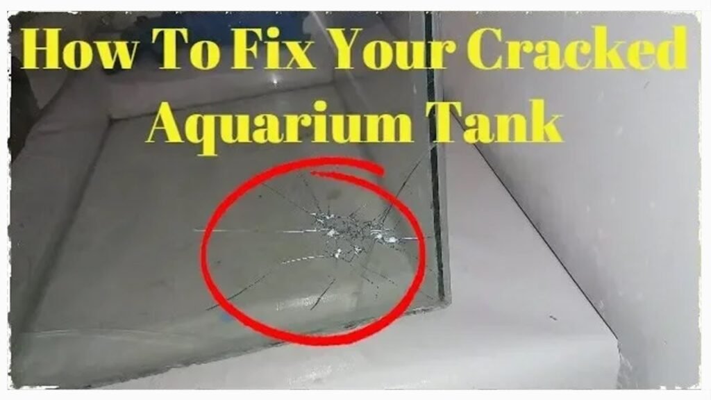 How to Fix an Aquarium Crack