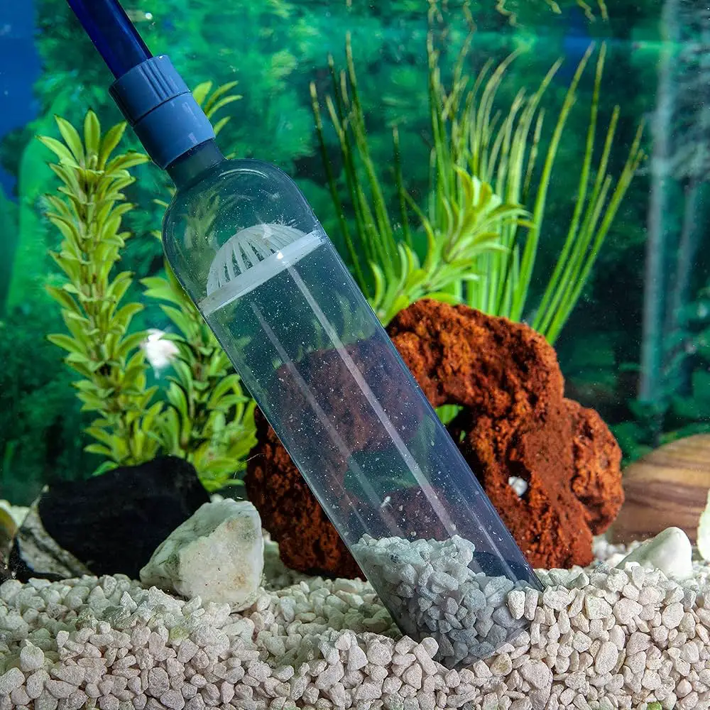 How to Gravel Vacuum an Aquarium