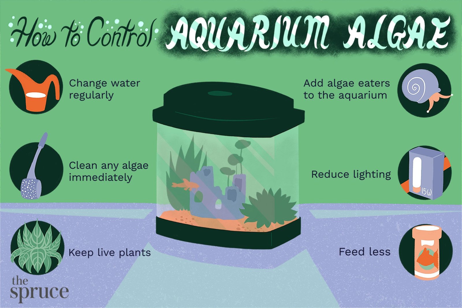 How to Keep Algae from Growing in Aquarium Clear Tank Tactics