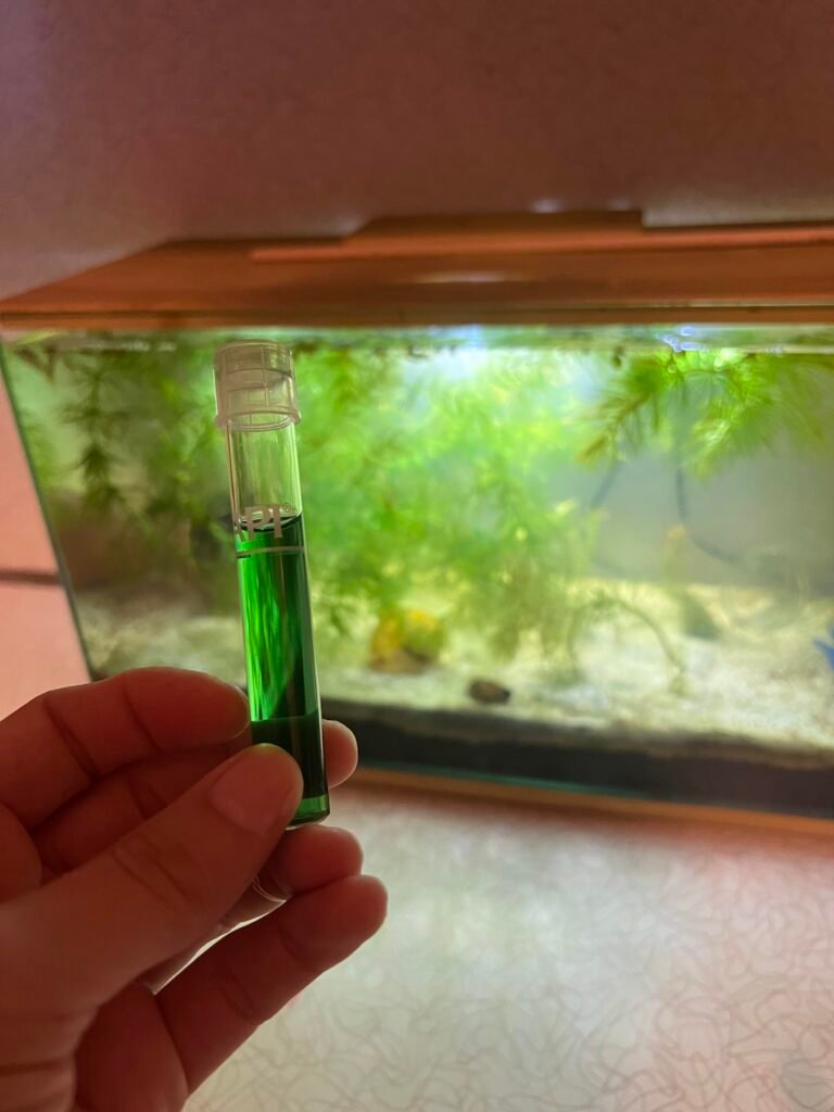 How to Keep Ammonia Levels down in Aquarium