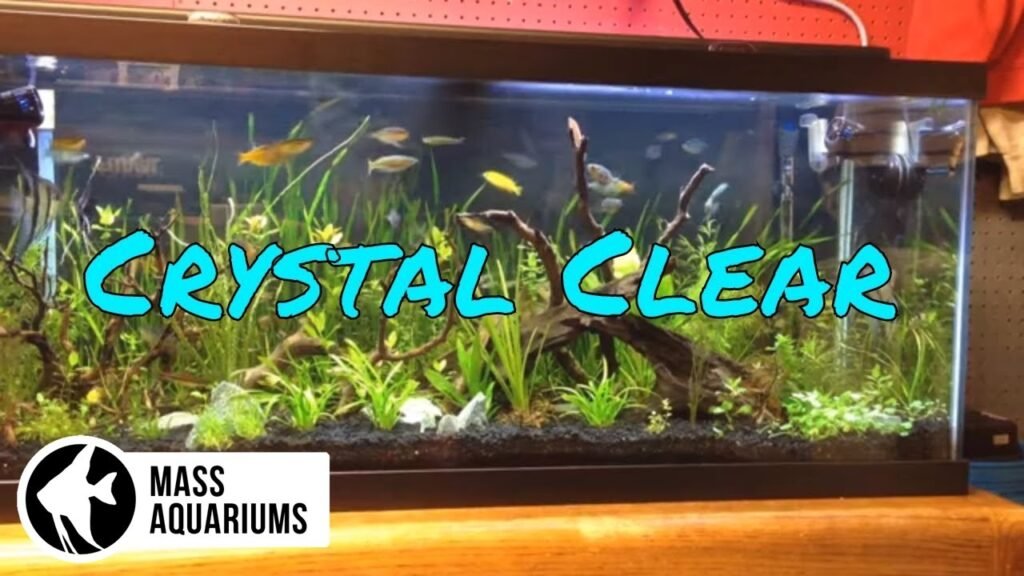 How to Polish Aquarium Water