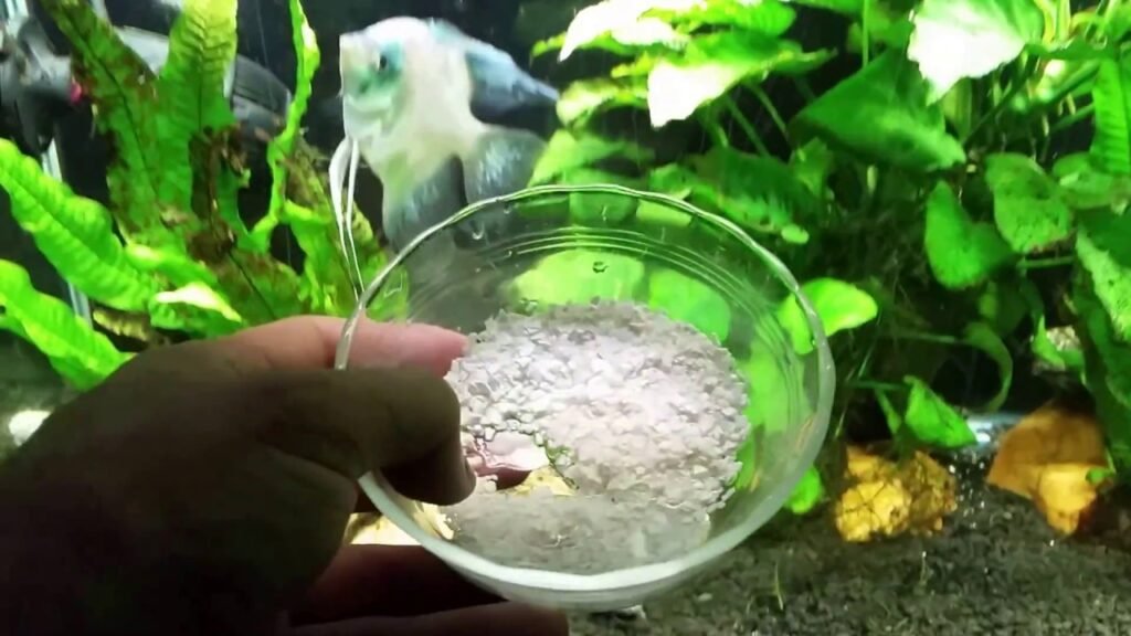 How to Prepare Eggshells for Aquarium