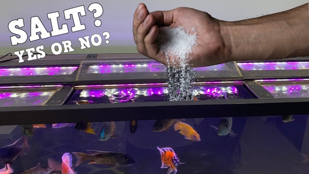 How to Put Aquarium Salt