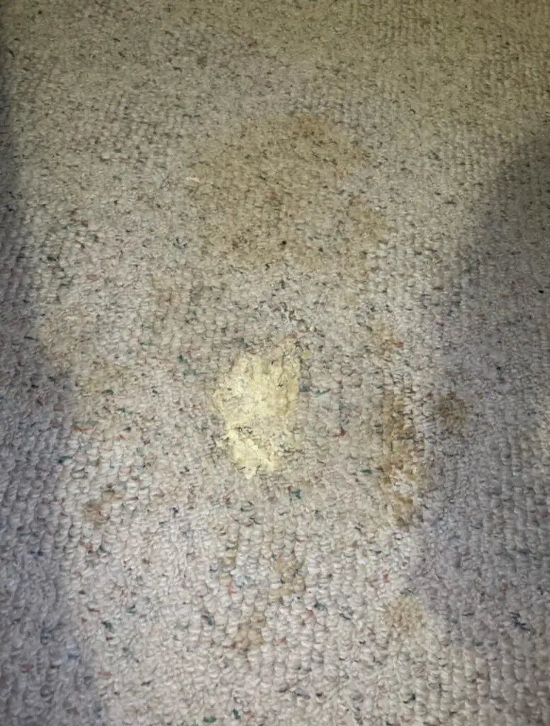 How to Remove Gorilla Glue from Carpet