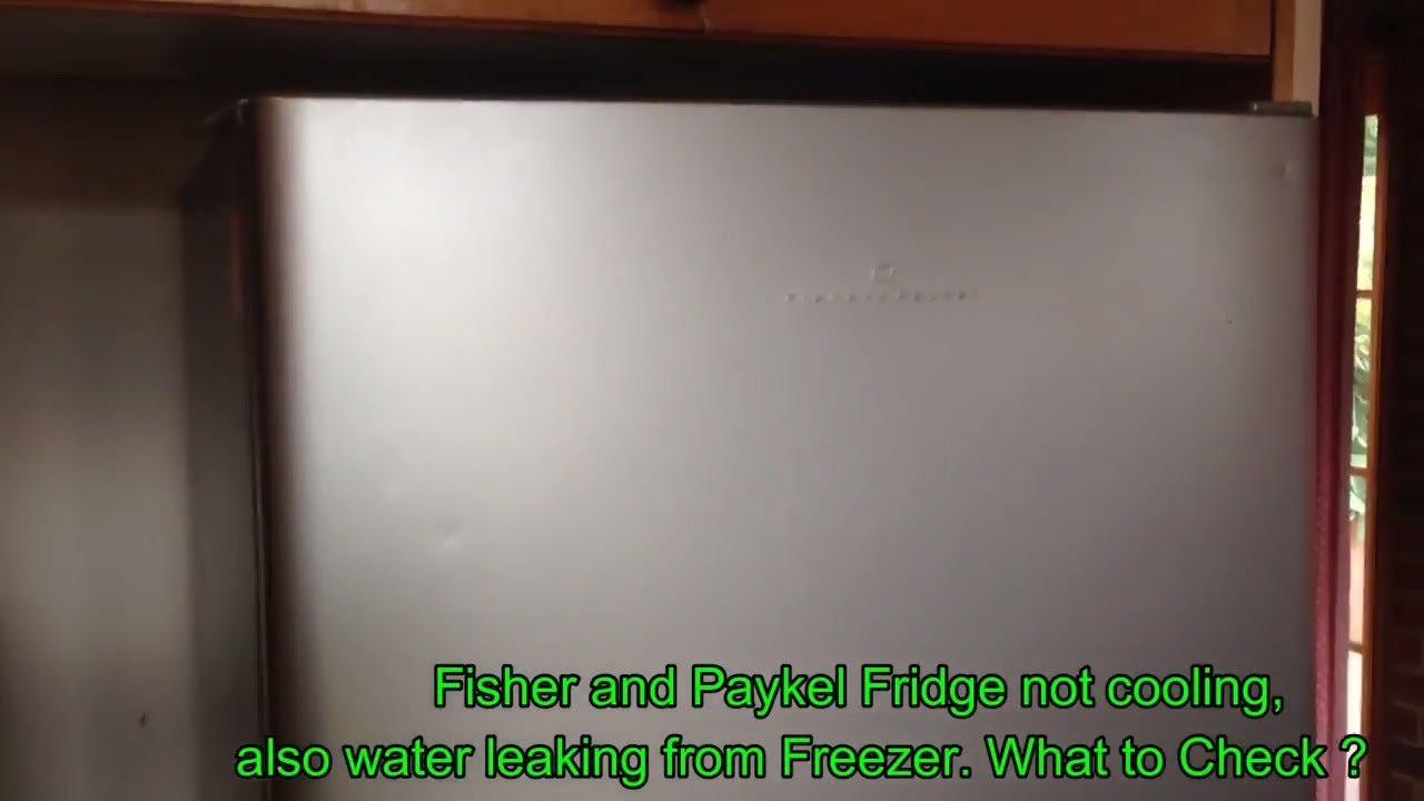 Fisher Paykel Fridge Not Cooling