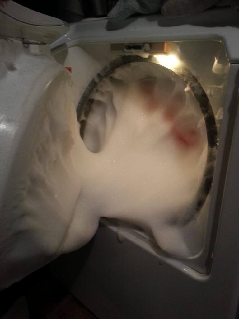 Accidentally Washed Dishes Laundry Detergent