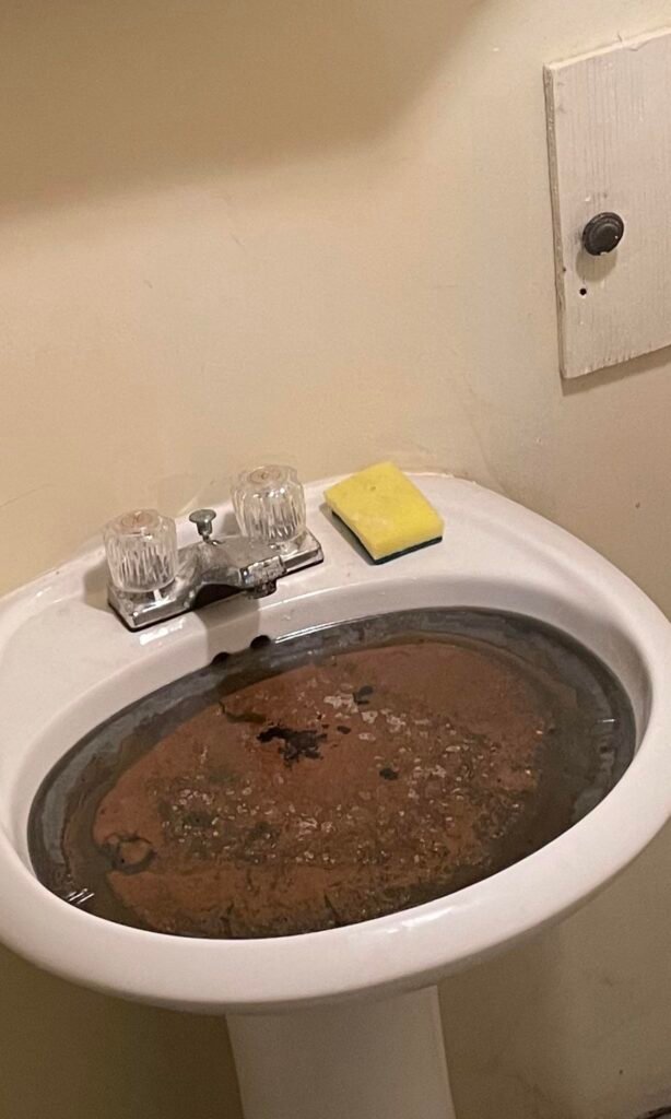 Can Poop Go down the Sink