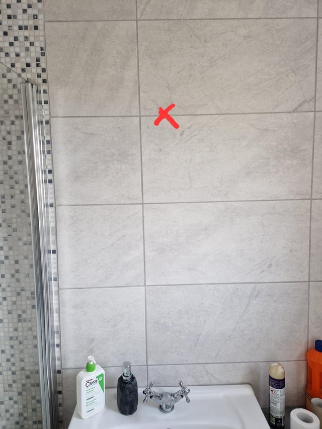 Can Put Mirror in Shower