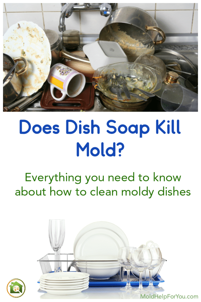 Dish Soap Kill Mold on Dishes