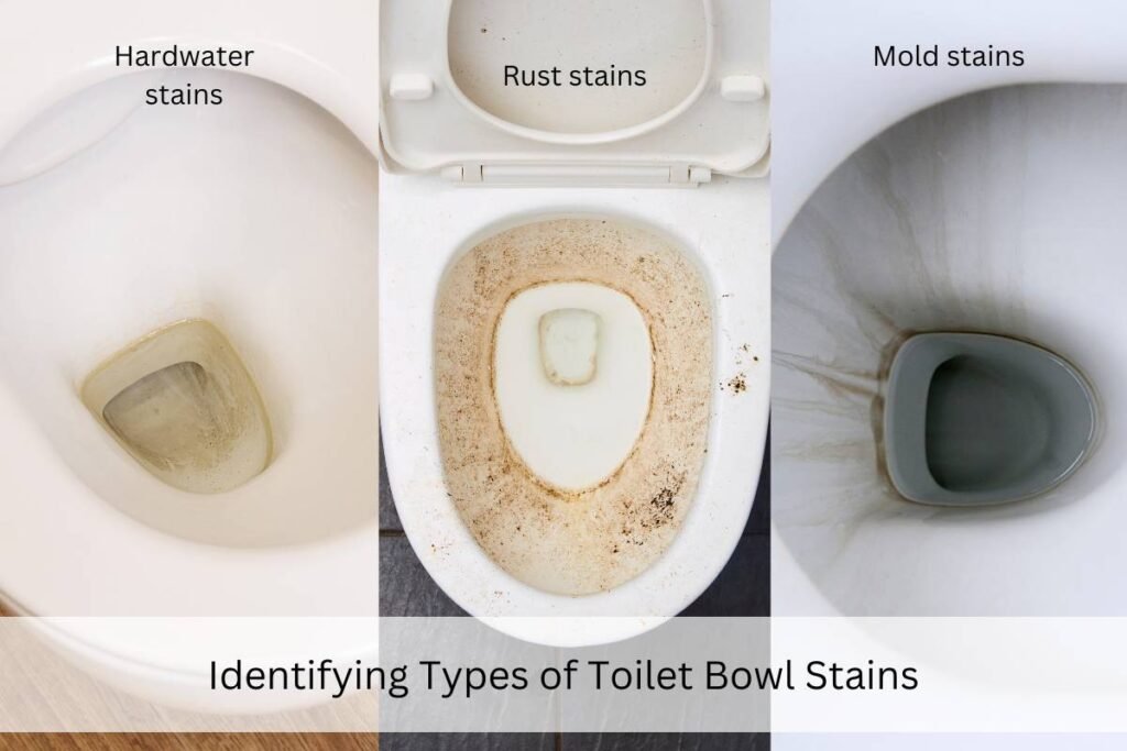 Does Vinegar Damage Toilet Bowls