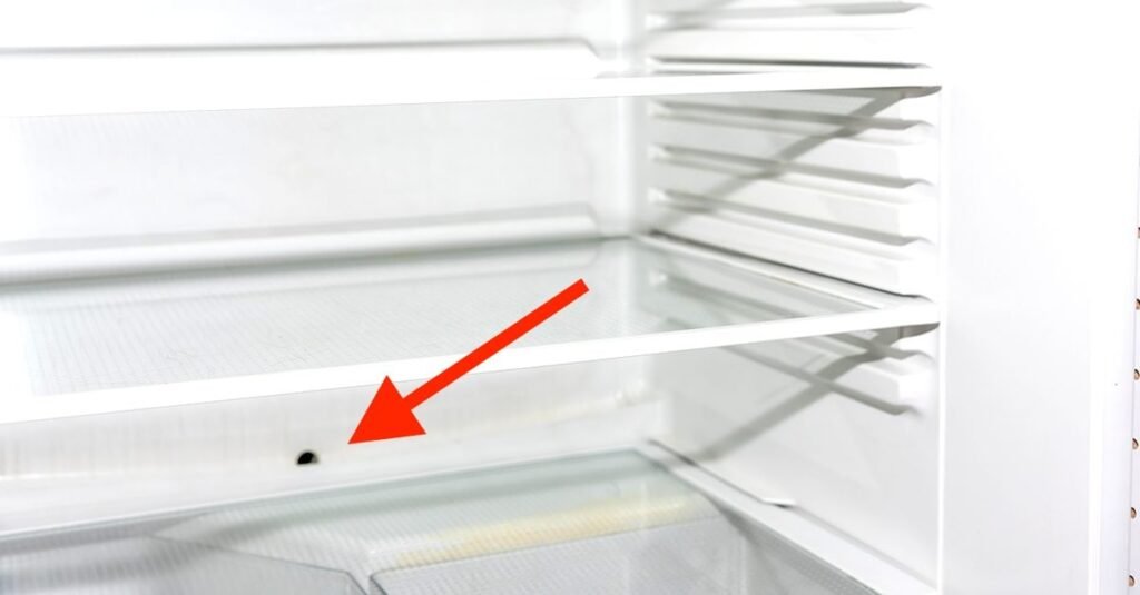 Haier Refrigerator Defrost Drain Location