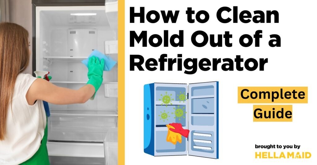 How Clean Moldy Fridge