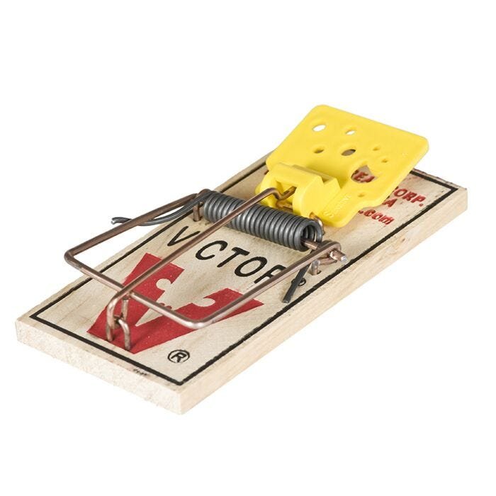 How Long Mouse Traps Take to Work