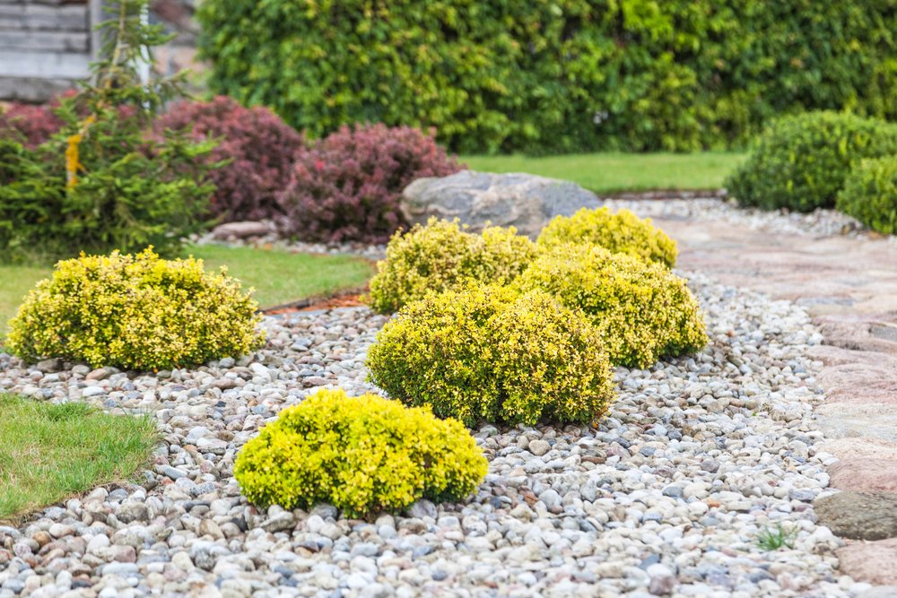 How Much It Cost to Replace Grass With Rocks