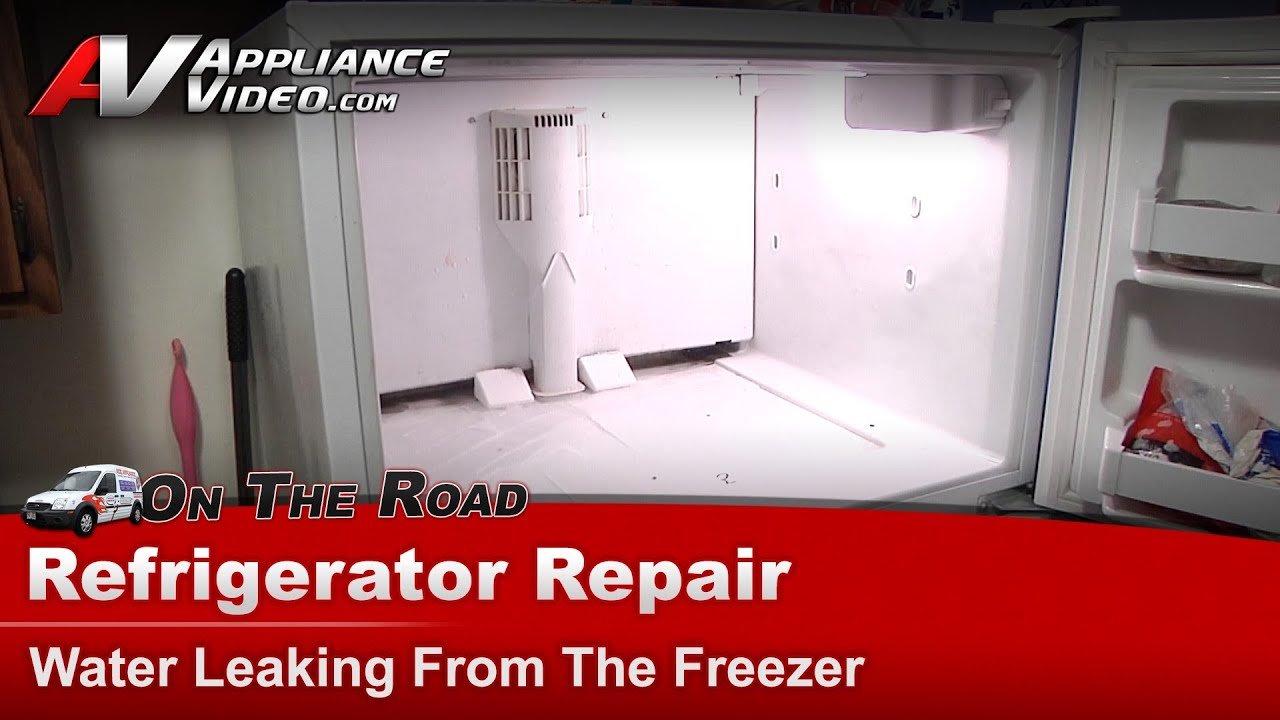 Kenmore Refrigerator Defrost Drain Location: Quick Guide