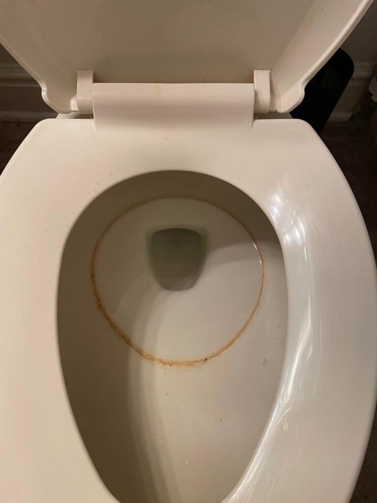 Orange Ring in Toilet Bowl