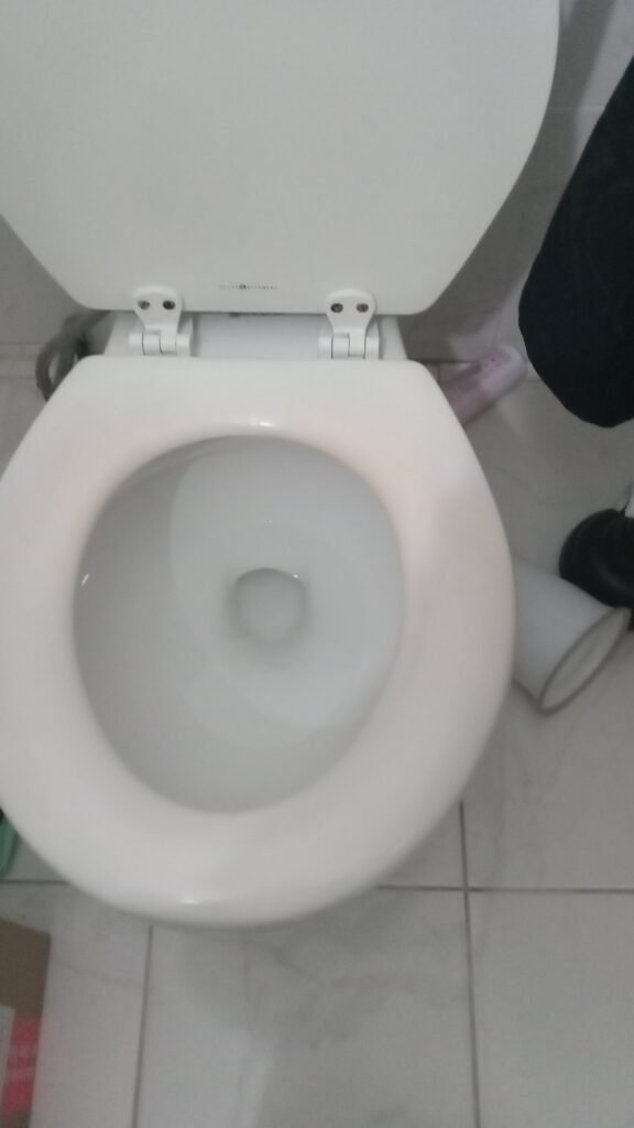 Orange Stain on Toilet Seat