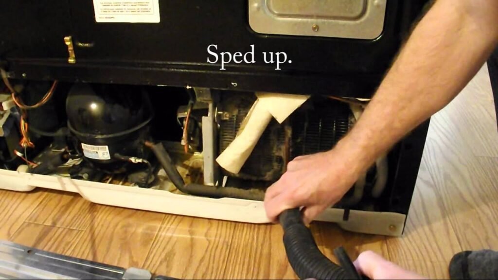 Roaches Out of Refrigerator Motor