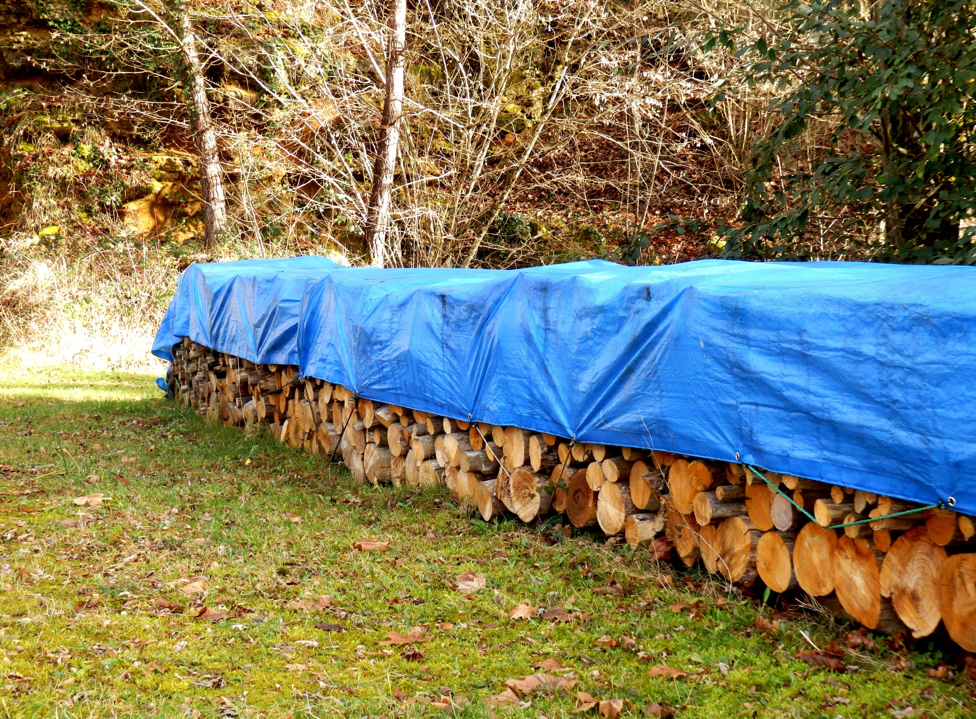 Should You Cover Wood Pile