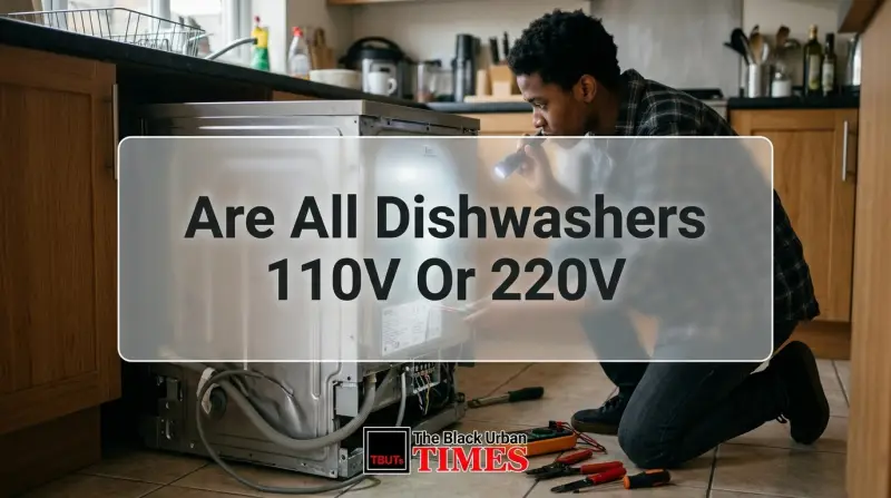 Are All Dishwashers 110V Or 220V