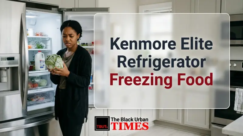 Kenmore Elite Refrigerator Freezing Food