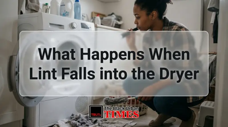 What Happens When Lint Falls into the Dryer