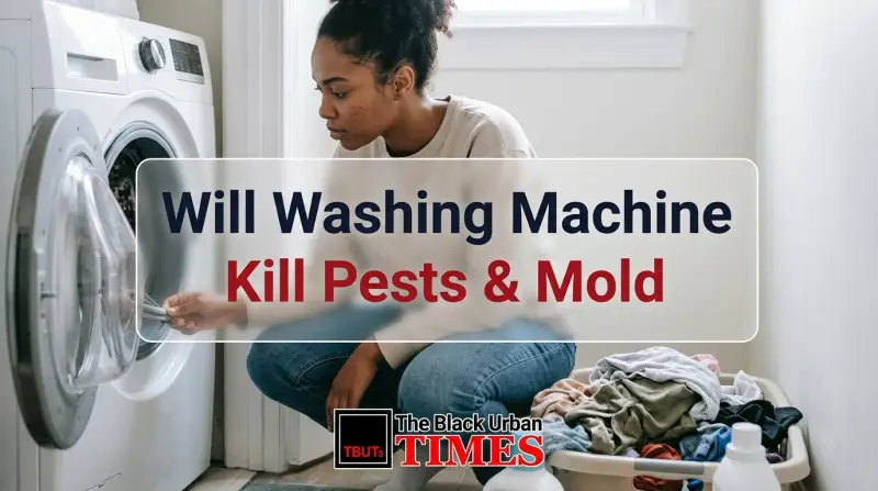 Will Washing Machine Kill Pests & Mold