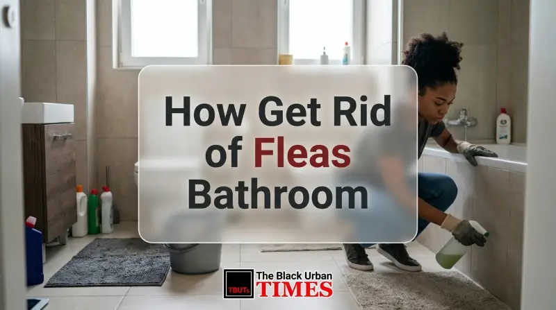 How Get Rid of Fleas Bathroom