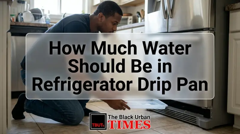 How Much Water Should Be in Refrigerator Drip Pan