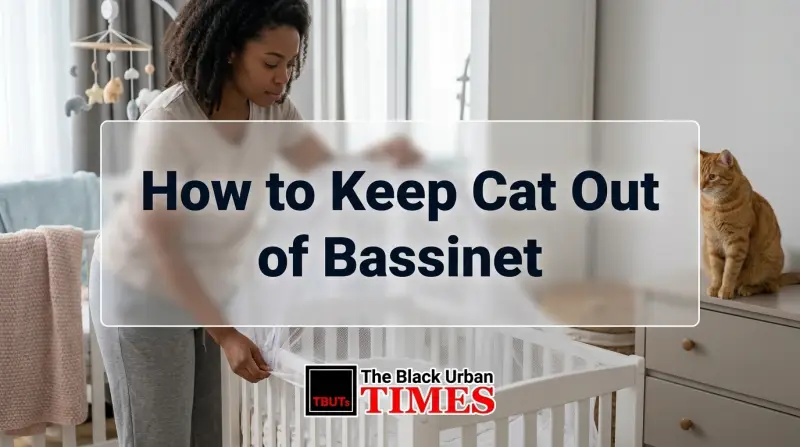 How to Keep Cat Out of Bassinet