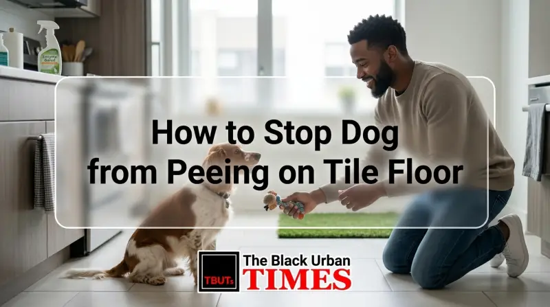 How to Stop Dog from Peeing on Tile Floor
