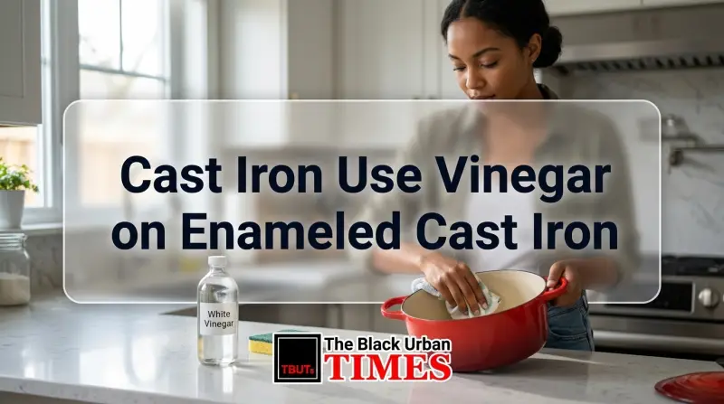 Cast Iron Use Vinegar on Enameled Cast Iron
