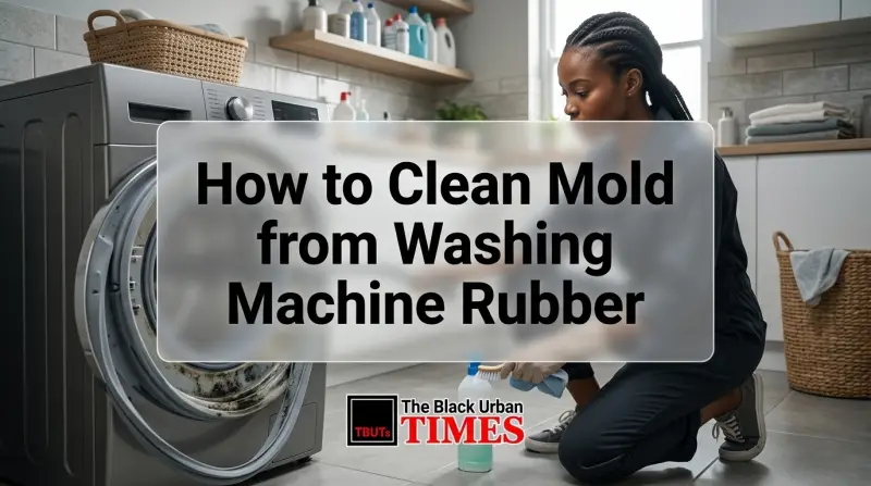 How to Clean Mold from Washing Machine Rubber