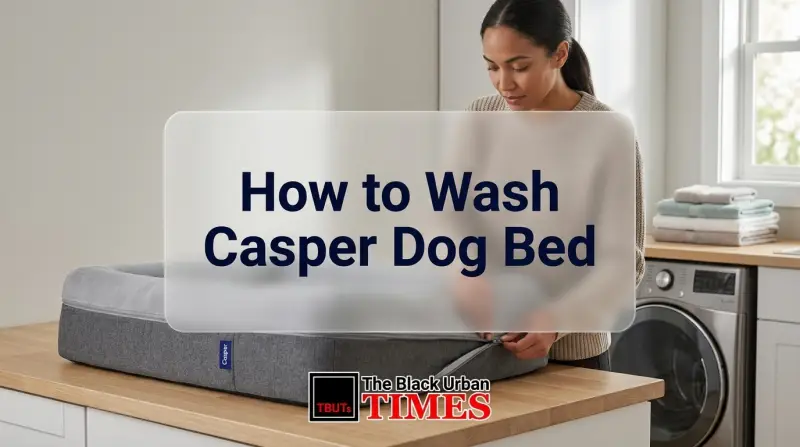 How to Wash Casper Dog Bed